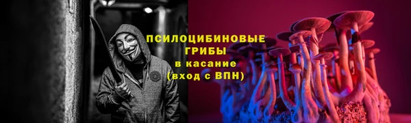 ГАЛЛЮЦИНОГЕННЫЕ ГРИБЫ Богородицк