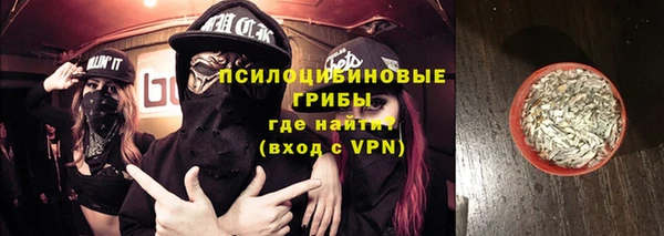 ГАЛЛЮЦИНОГЕННЫЕ ГРИБЫ Богородицк