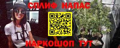 спайс Новодвинск