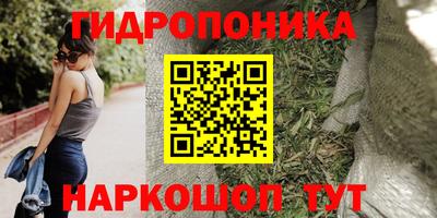 дурь Обь