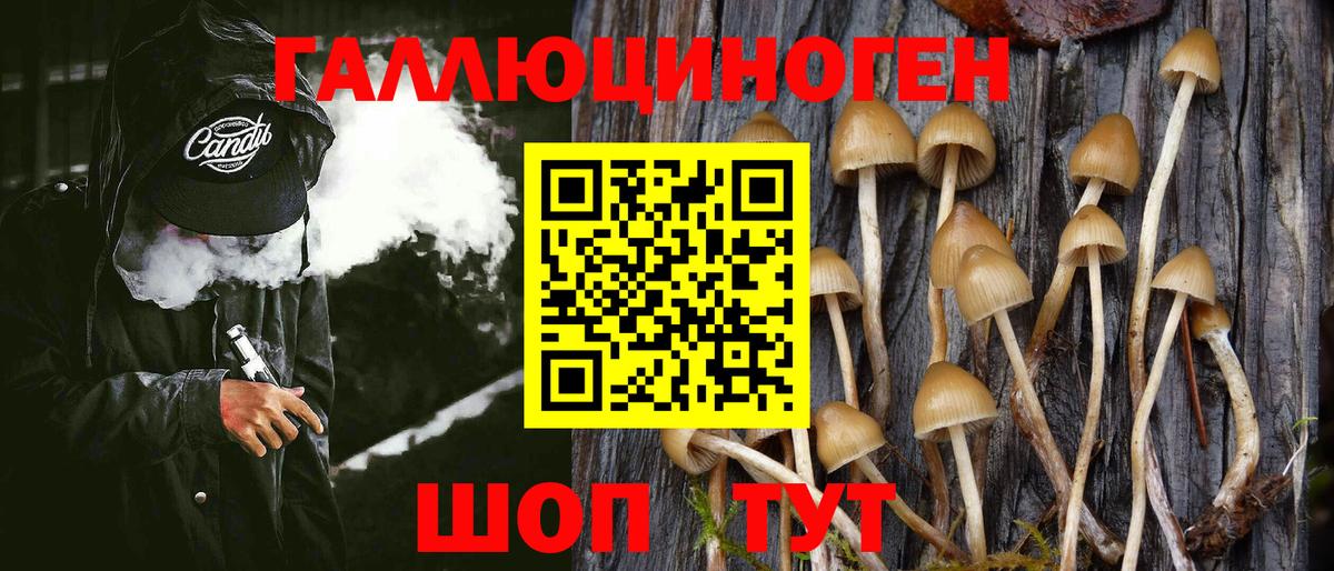 Псилоцибиновые грибы Magic Shrooms Среднеуральск